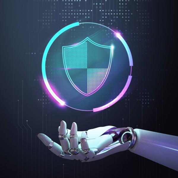 Web Sitesi Güvenliği: SSL, Güçlü Şifreler ve DDoS Koruması